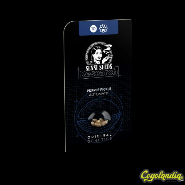 Purple Pickle - Sensi Seeds