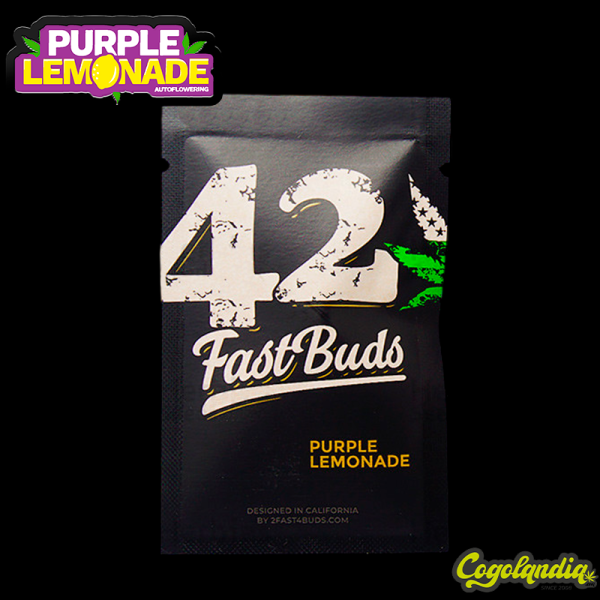 Purple Lemonade Auto - Fast Bud