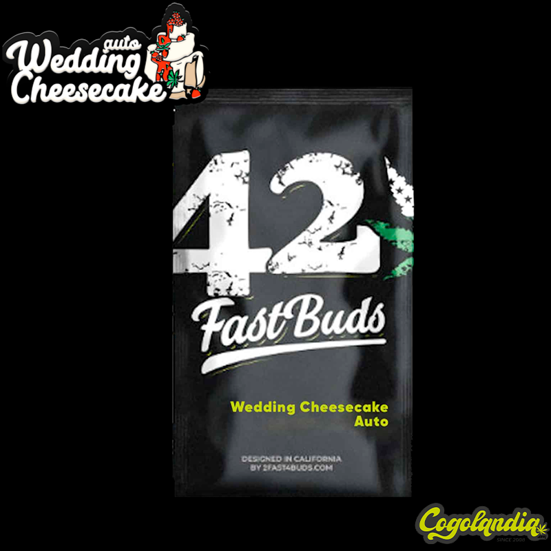 Wedding Cheesecake Auto - FastBuds