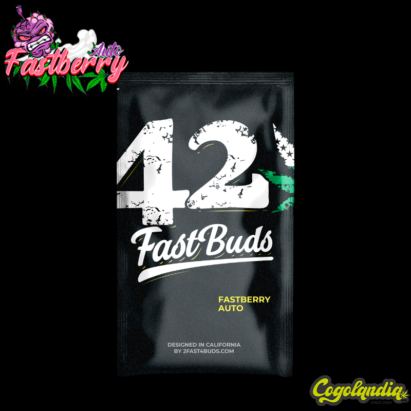 Fastberry Auto - FastBuds