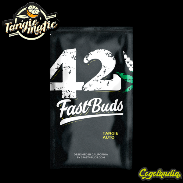 Tangie Auto - FastBuds