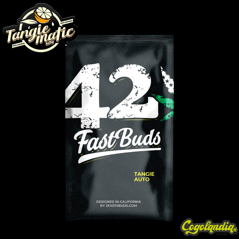 Tangie Auto - FastBuds