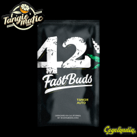 Tangie Auto - FastBuds