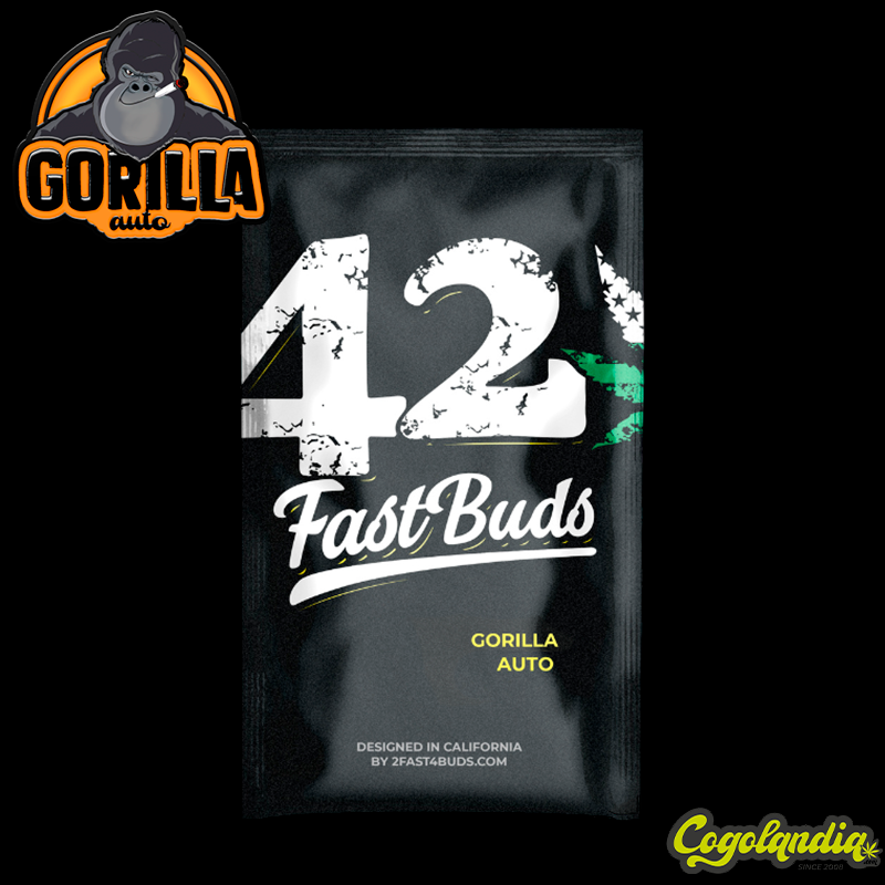 Gorilla Glue Auto - FastBuds