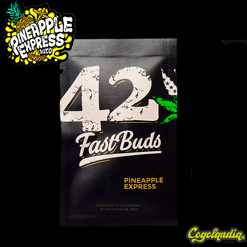 Pineapple Express Auto - FastBuds