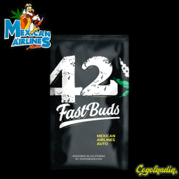 Mexican Airlines Auto - FastBuds