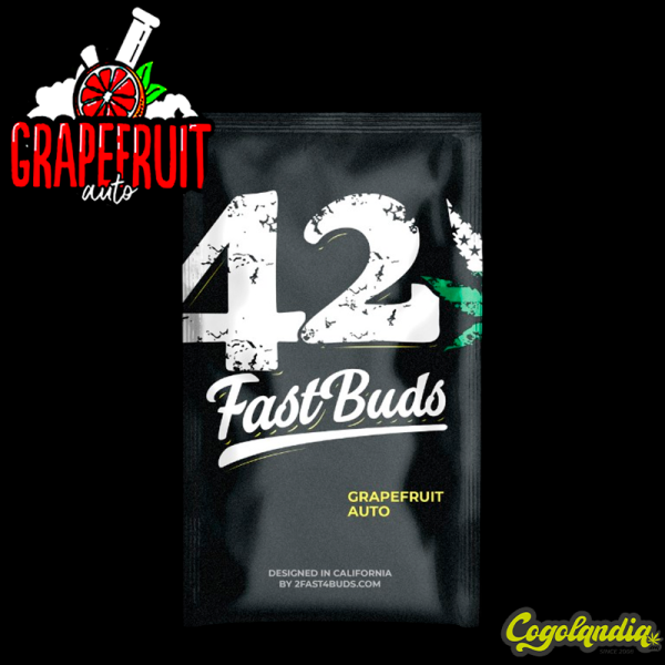 Grapefruit Auto - FastBuds