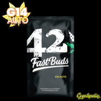 G14 Auto - Fast Buds Semillas autoflorecientes