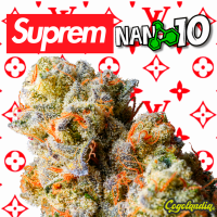 Flores Supreme x Nano 10 CBD al 81% - Cannabis Innovation