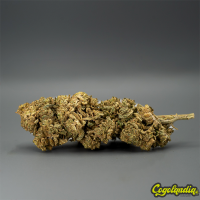 Flores Supreme x Nano 10 CBD al 81% - Cannabis Innovation