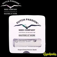 Kerosene Krash Auto - Dutch Passion