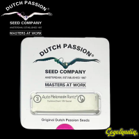 Melonade Runtz Auto - Dutch passion Semillas autoflorecientes