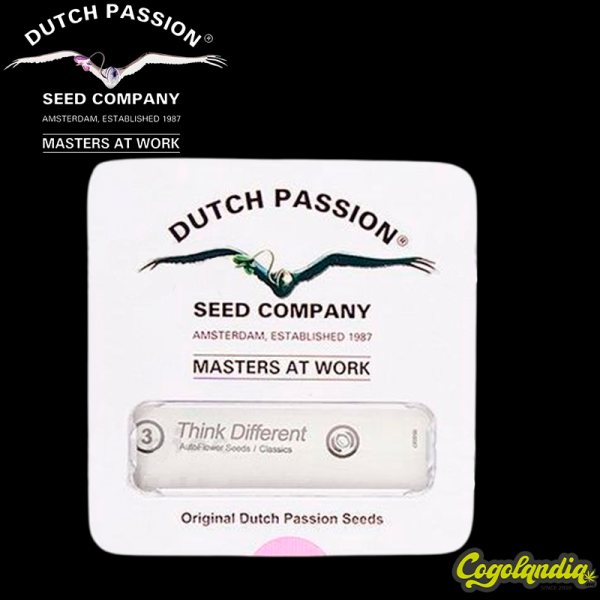 Think Different Auto - Dutch Passion Inicio