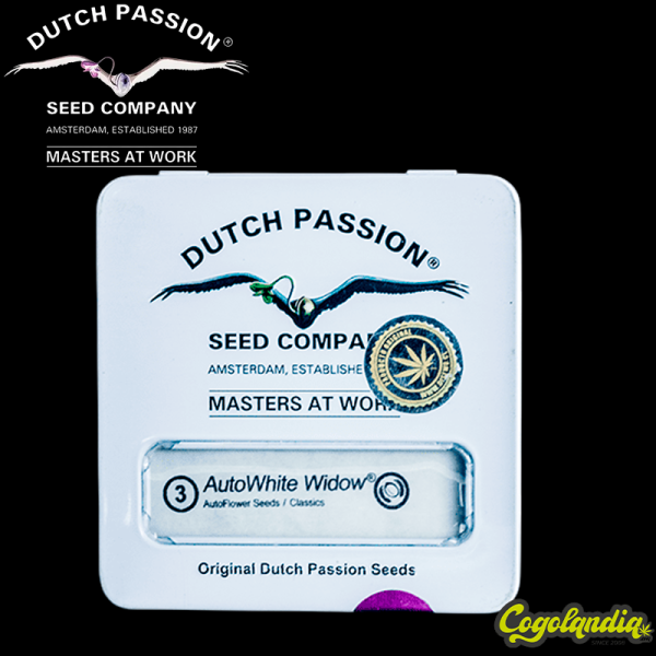 White Widow Auto - Dutch Passion