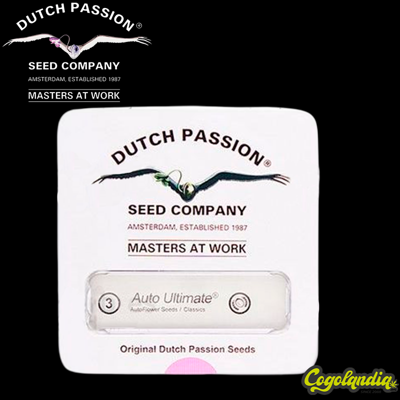 Ultimate Auto - Dutch Passion