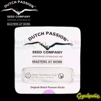Glueberry OG Auto - Dutch Passion Semillas autoflorecientes