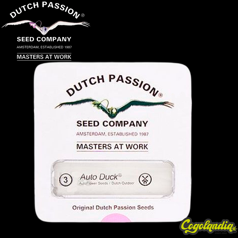 Duck Auto - Dutch Passion
