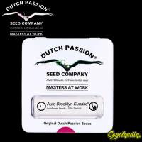 Auto Brooklyn Sunrise - Dutch Passion Semillas autoflorecientes