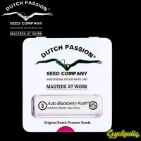 Auto Blackberry Kush - Dutch Passion Semillas autoflorecientes
