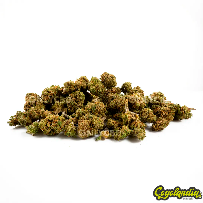 Mini Buds Lil Box - OnlyCBD