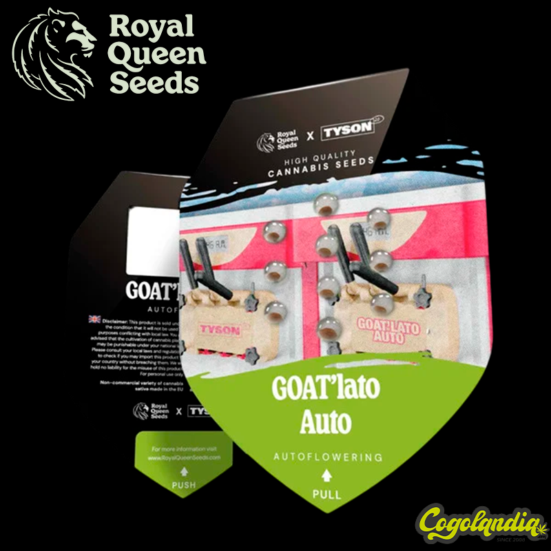 GOAT'lato Auto - Royal Queen Seeds x Tyson 2.0 
