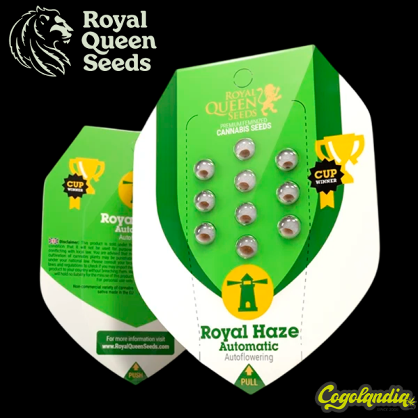 Royal Haze Auto - Royal Queen Seeds Semillas autoflorecientes