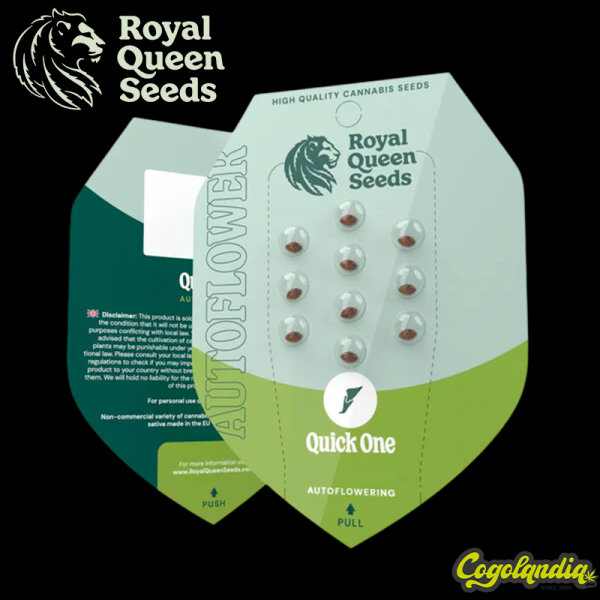 Quick one - Royal Queen Seeds Semillas autoflorecientes