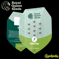 Quick one - Royal Queen Seeds Semillas autoflorecientes