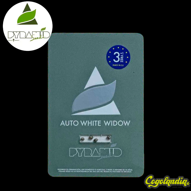 Auto White Widow - Pyramid Seeds