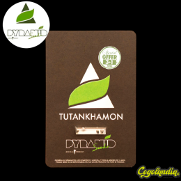 Auto Tutankhamon - Pyramid Seeds