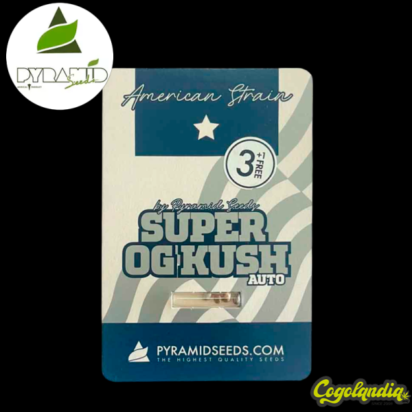 Auto Super OG Kush - Pyramid Seeds