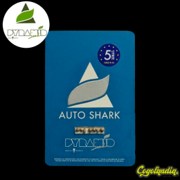 Auto Shark - Pyramid Seeds