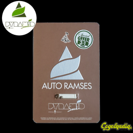Auto Ramses - Pyramid Seeds