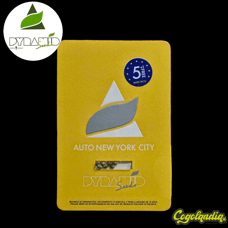 Auto New York City - Pyramid Seeds