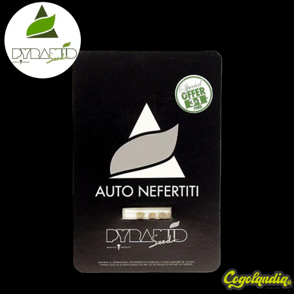 Auto Nefertiti - Pyramid Seeds