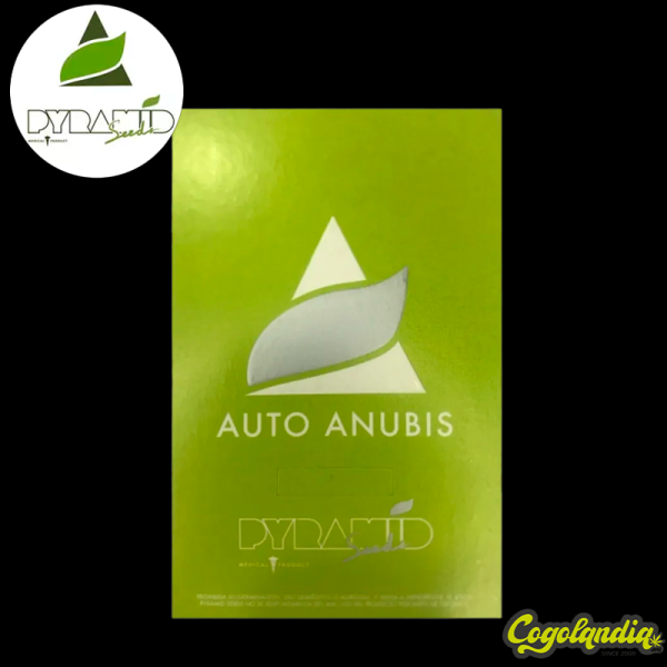 Auto Anubis - Pyramid Seeds