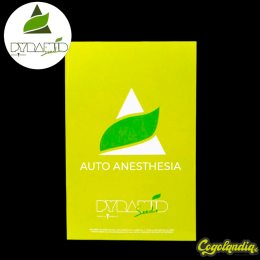 Auto Anesthesia - Pyramid Seeds