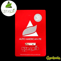 Auto American Pie - Pyramid Seeds