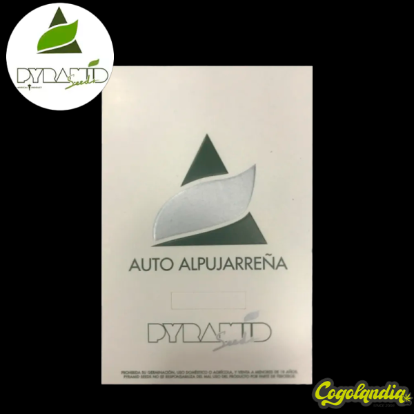 Auto Alpujarreña - Pyramid Seeds Semillas autoflorecientes