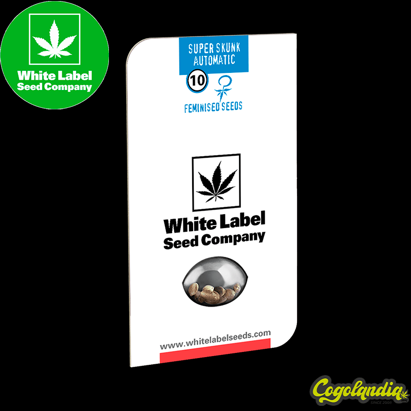 Super Skunk Auto - White Label Semillas autoflorecientes