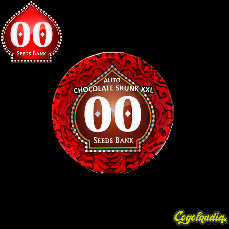 Auto Chocolate Skunk XXL - 00 Seeds