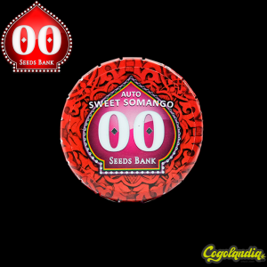 Auto Sweet Somango - 00 Seeds Semillas autoflorecientes