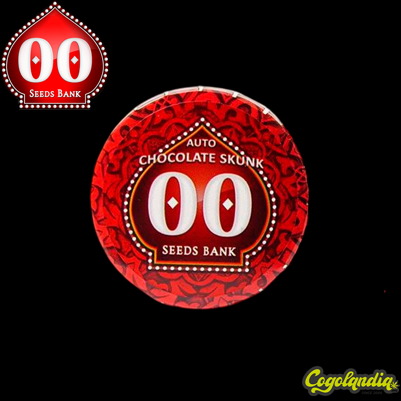 Auto Chocolate Skunk - 00 Seeds Semillas autoflorecientes