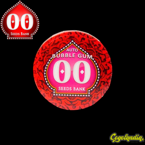 Auto Bubble Gum XXL - 00 Seeds Semillas autoflorecientes