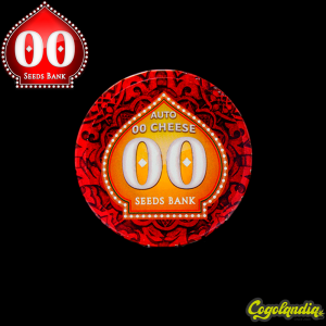 Auto 00 Cheese - 00 Seeds Semillas autoflorecientes