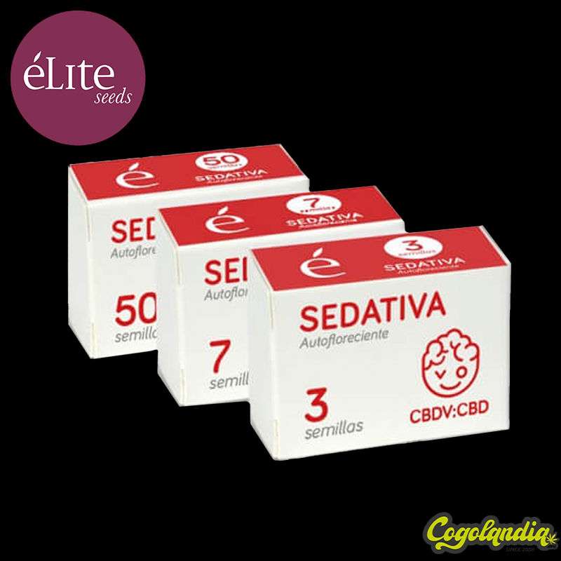Sedativa CBDV Auto - Elite Seeds
