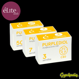 Purplediol Auto CBD - Élite Seeds Semillas autoflorecientes