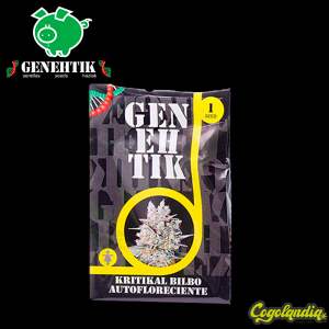 Kritikal Bilbo Auto - Genehtik Seeds Semillas autoflorecientes