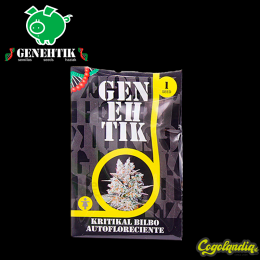 Kritikal Bilbo Auto - Genehtik Seeds Semillas autoflorecientes