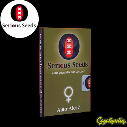 Auto AK-47 - Serious Seeds